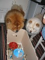 20040516_ 018
